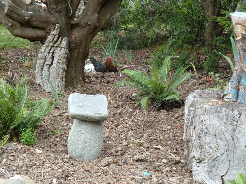 13504 HIghLand Lakes Road, Golden Valley TAS 7304