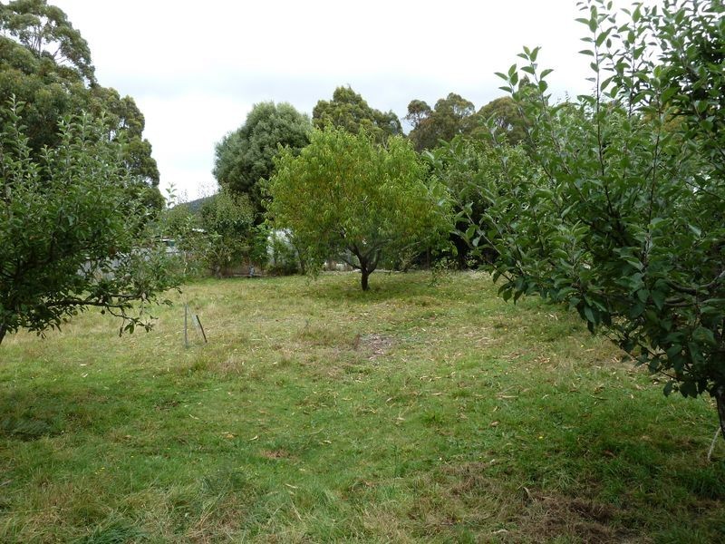 13504 HIghLand Lakes Road, Golden Valley TAS 7304