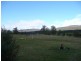 15 Blairs Road, Mole Creek TAS 7304