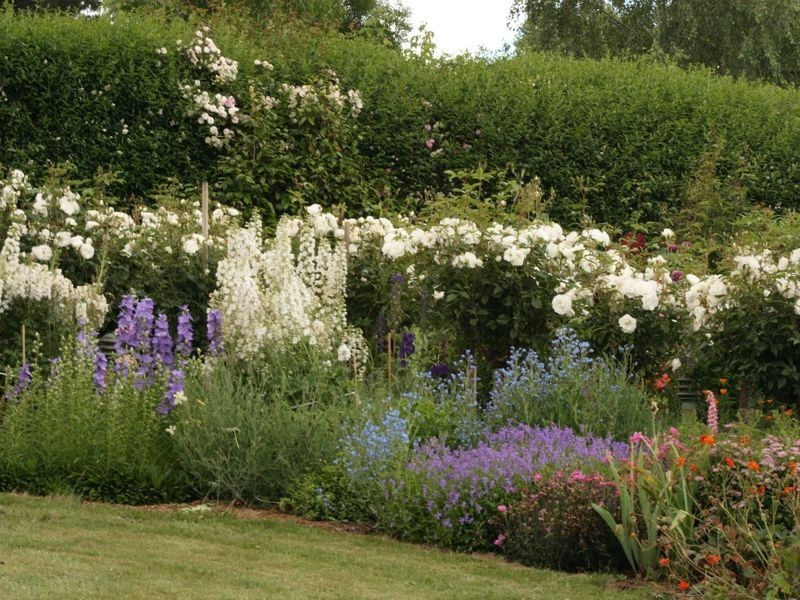 4501 Meander Valley Road, Deloraine TAS 7304