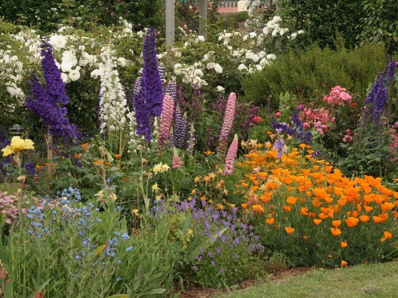 4501 Meander Valley Road, Deloraine TAS 7304