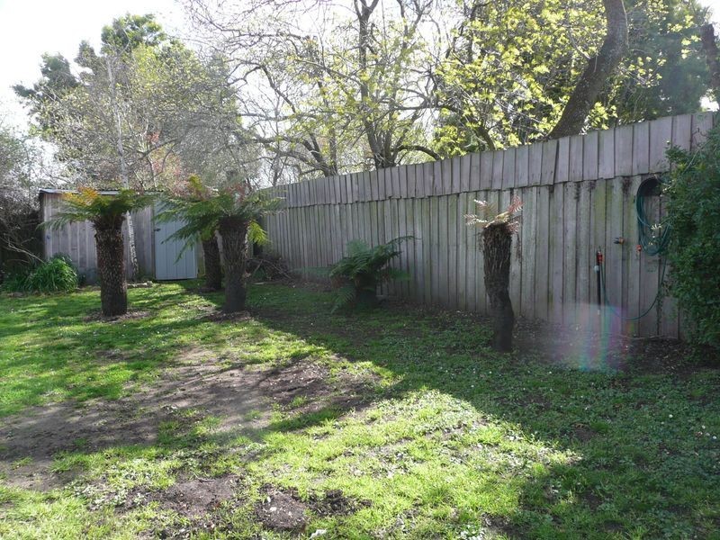 12 Swan Avenue, Longford TAS 7301