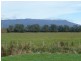 1442 Mole Creek Road, Chudleigh TAS 7304