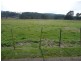 1442 Mole Creek Road, Chudleigh TAS 7304