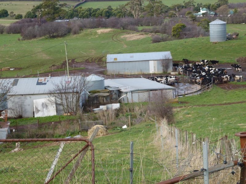 3797 Meander Valley Road, Exton TAS 7303