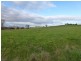 3797 Meander Valley Road, Exton TAS 7303