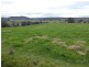 3797 Meander Valley Road, Exton TAS 7303