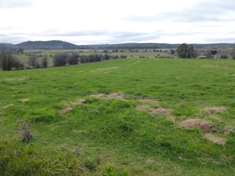 3797 Meander Valley Road, Exton TAS 7303