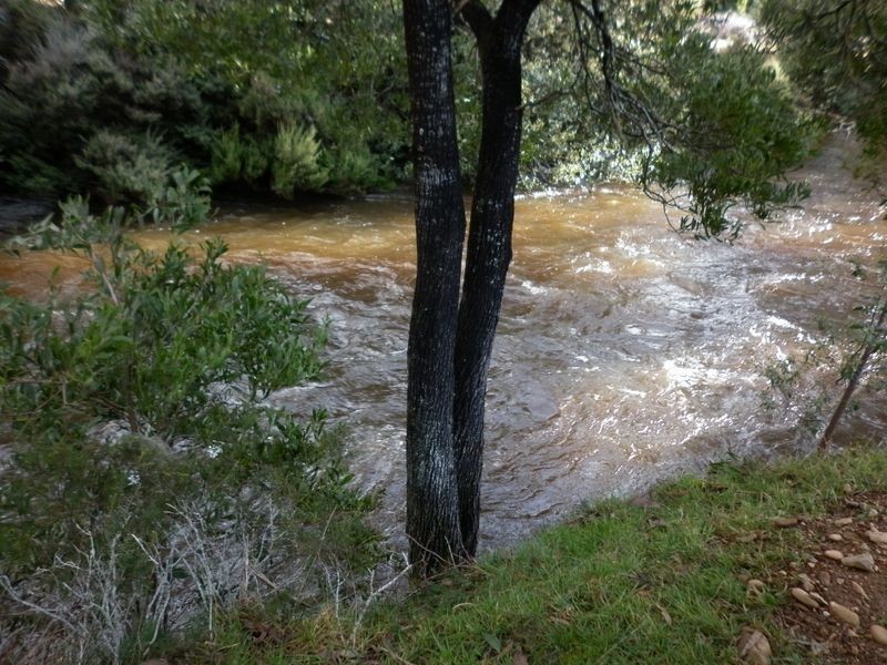 2604 Gordon River Road, National Park TAS 7140