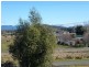 6 East Goderich, Deloraine TAS 7304