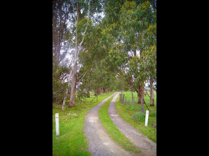 1 Burnett Street, Chudleigh TAS 7304