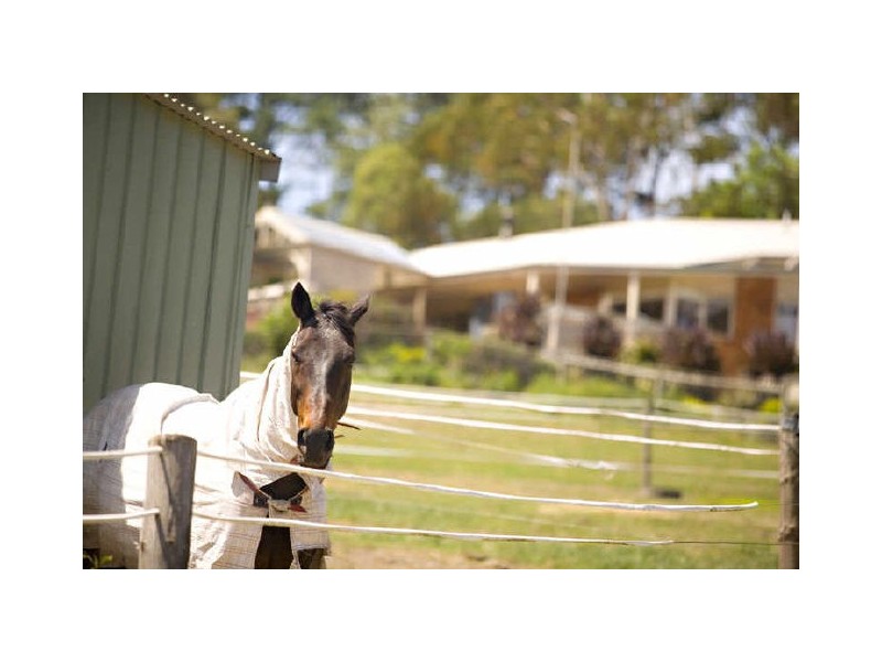 Wandin North VIC 3139