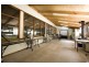Wandin North VIC 3139