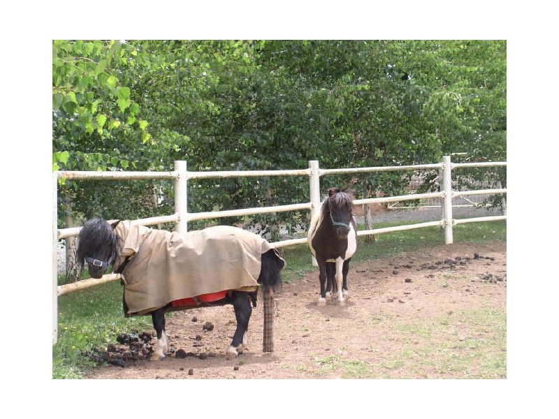 Hoddles Creek VIC 3139