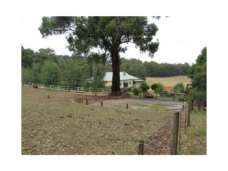Hoddles Creek VIC 3139