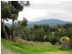 7 Montpellier Street, Healesville VIC 3777