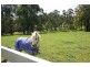 Wandin North VIC 3139