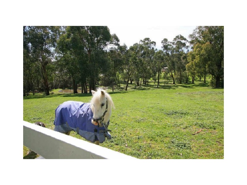 Wandin North VIC 3139