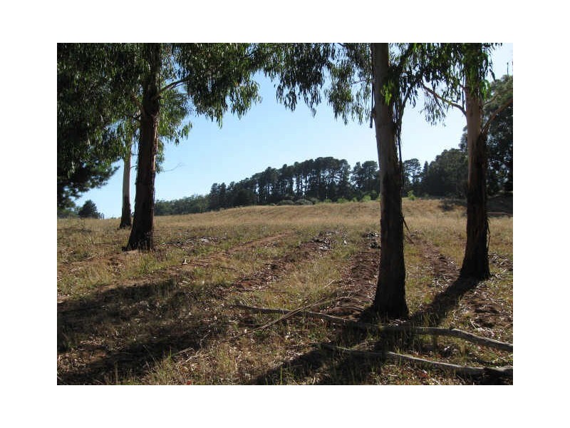 Wandin North VIC 3139