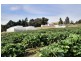 Wandin North VIC 3139