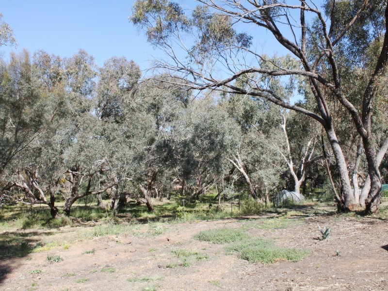 9 Revett Place, York WA 6302