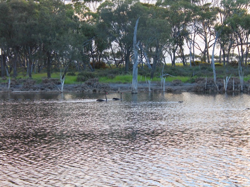 Lot 3 Yenyenning Lakes Road (Kokeby), Beverley WA 6304