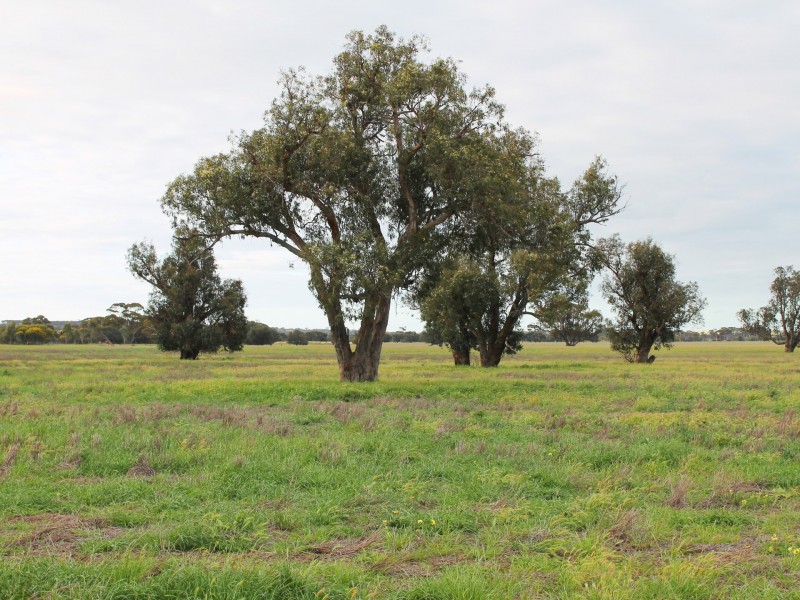 Lot 3 Yenyenning Lakes Road (Kokeby), Beverley WA 6304