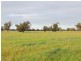 Lot 3 Yenyenning Lakes Road (Kokeby), Beverley WA 6304