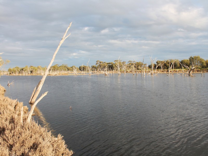 Lot 3 Yenyenning Lakes Road (Kokeby), Beverley WA 6304