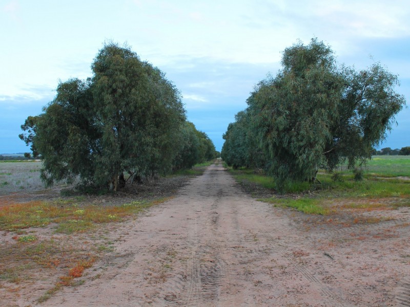 Lot 3 Yenyenning Lakes Road (Kokeby), Beverley WA 6304