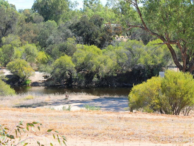 113 Newcastle Street, York WA 6302