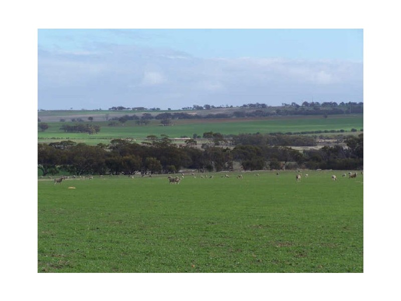 Meckering WA 6405