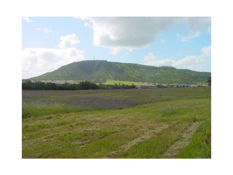 17 Andrews Road (Lot 82), York WA 6302