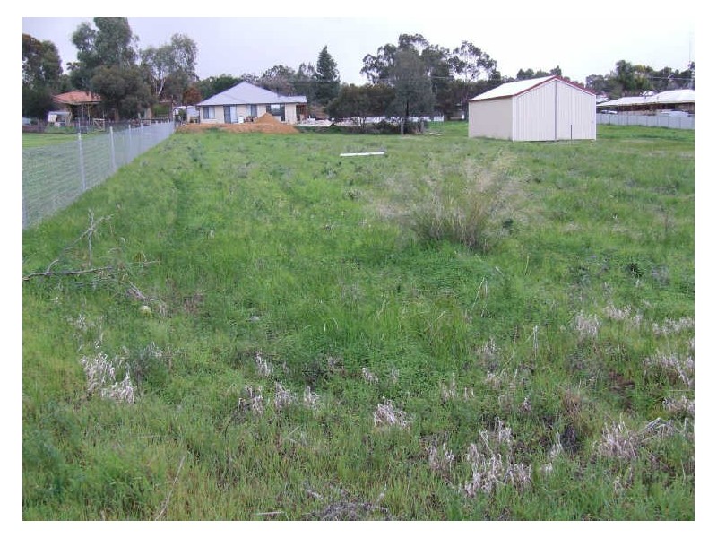 87 Georgiana Street, York WA 6302