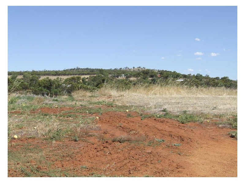 25 Camfield Place, York WA 6302