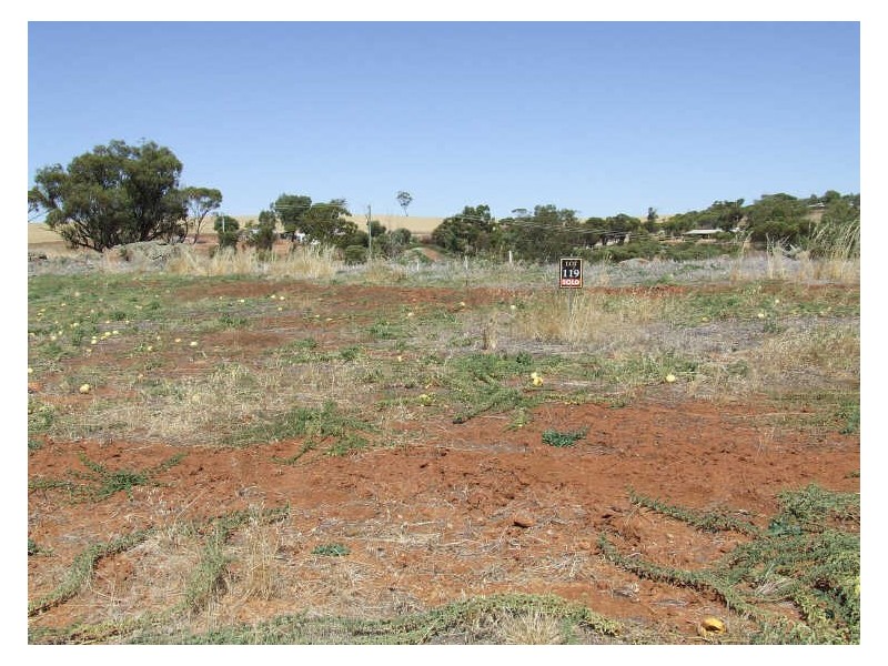 25 Camfield Place, York WA 6302