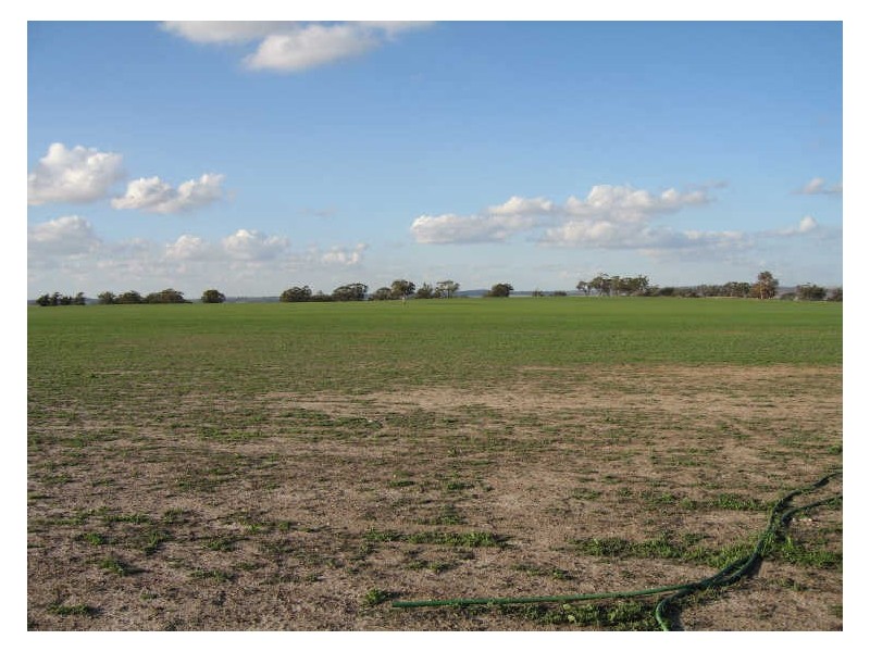 Lot 79 Lennard Road, Beverley WA 6304