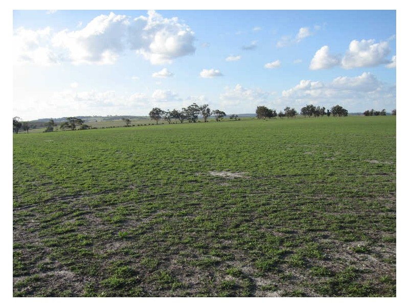 Lot 79 Lennard Road, Beverley WA 6304