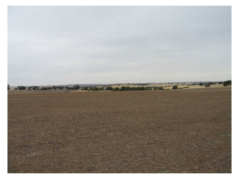 Lot 79 Lennard Road, Beverley WA 6304