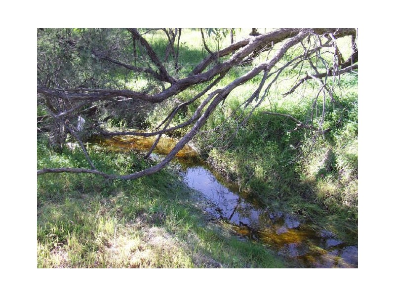 60 Roe Street, York WA 6302