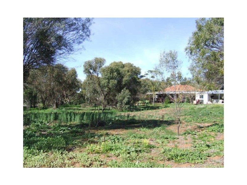 60 Roe Street, York WA 6302