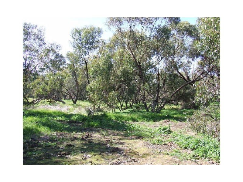 60 Roe Street, York WA 6302