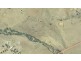Lot 564 (off) Vallentines Road, Westdale WA 6304