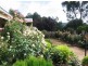35 Alfred Street, York WA 6302