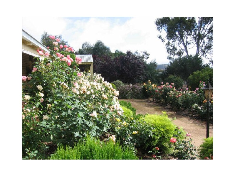 35 Alfred Street, York WA 6302