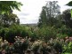 35 Alfred Street, York WA 6302