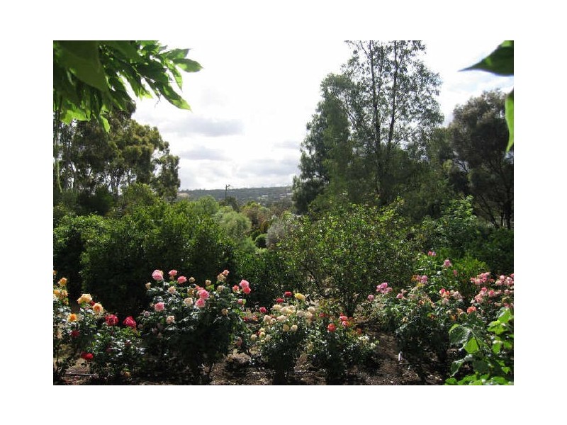 35 Alfred Street, York WA 6302