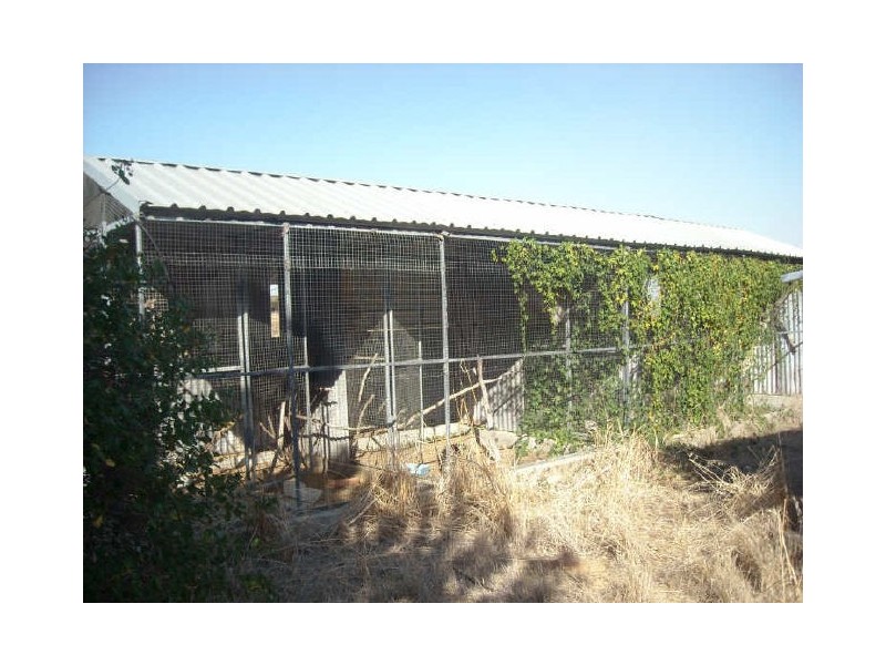 17 Ashton Street, Quairading WA 6383