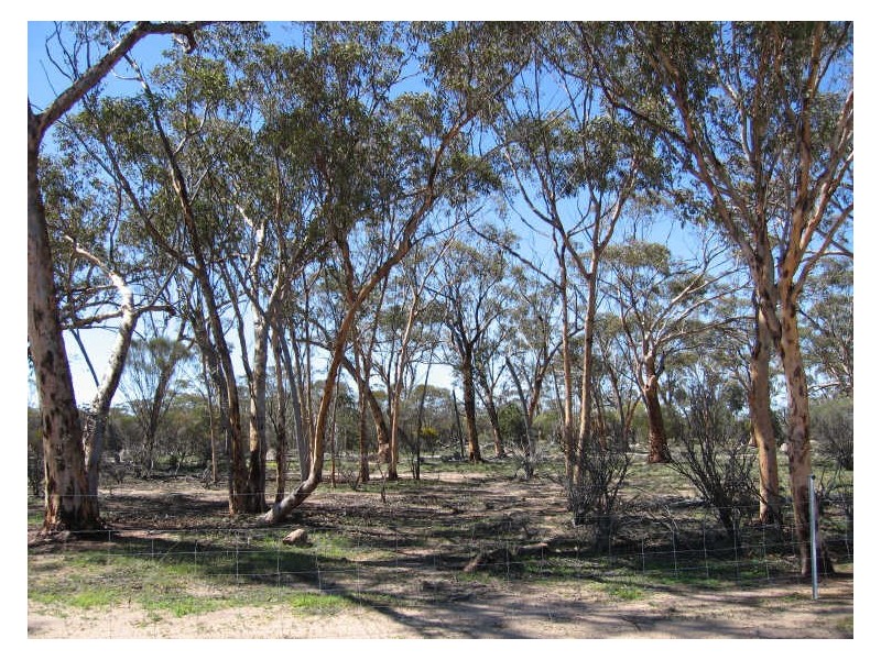 988 Arthur Road, North Baandee, Kellerberrin WA 6410