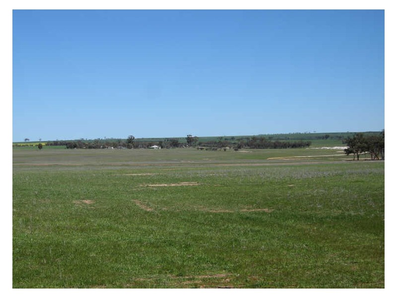 988 Arthur Road, North Baandee, Kellerberrin WA 6410